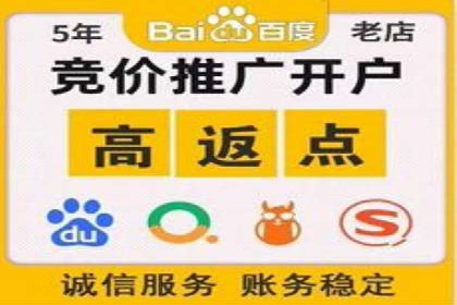 竞价托管sem的胜利果实：某零售商的营销策略